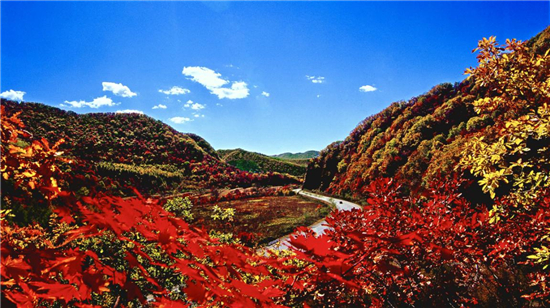 {六合彩}(十一国内旅游好去处)