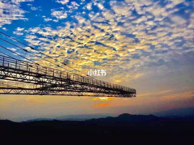 包含重庆旅游局回应女子玩高空项目坠落的词条